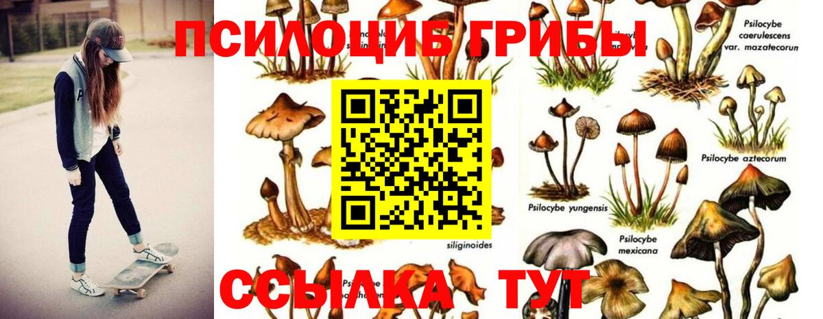 Галлюциногенные грибы MAGIC MUSHROOMS Кисловодск